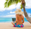 goa travel guide