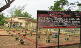 toshali jungle lodge